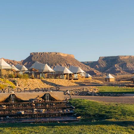 Zion Wildflower Resort เวอร์จิน ภายนอก รูปภาพ